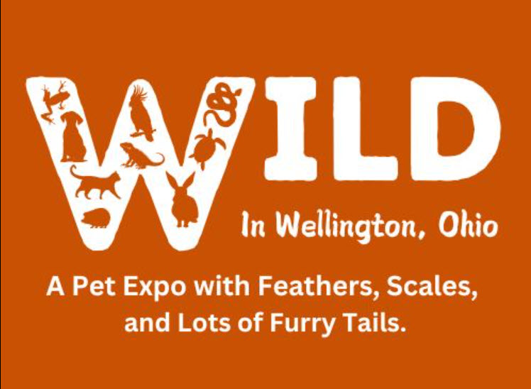 Grateful to speak at The Wild in Wellington about the healing magic of Animal Reiki